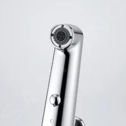 Franke Lift - Grifo De Fregadero FW 1668.031 Con Ducha Extraíble, Cromo 115.0621.668 -Franke 194dfaa9358846b262caf822