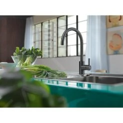 Franke Eos Neo - Grifo De Fregadero FC 0044.502, Negro 115.0613.590 -Franke 68fba5df2517fd96f5959f72