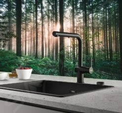 Franke Active New - Grifo De Fregadero FN 6110.901 Con Ducha Extraíble, Negro Mate 115.0653.382 -Franke b8e2f909346a697c5141a4de